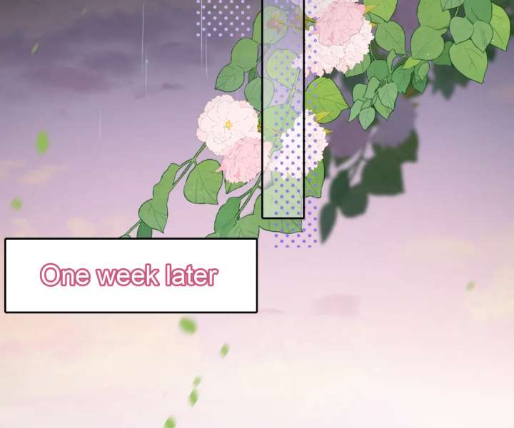 The Substitute Bride And The Overly affectionate Husband Chapter 40 465 029