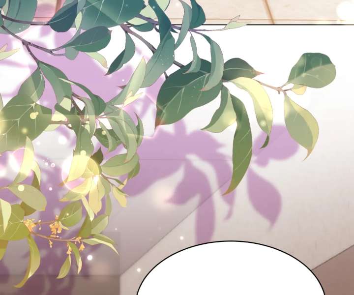 The Substitute Bride And The Overly affectionate Husband Chapter 45 612 137