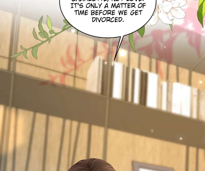 The Substitute Bride And The Overly affectionate Husband Chapter 47 470 004