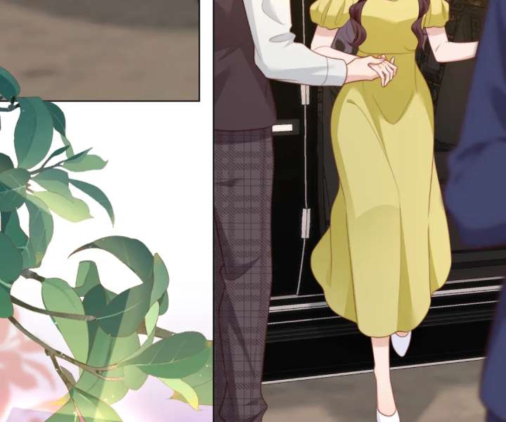 The Substitute Bride And The Overly affectionate Husband Chapter 52 480 020