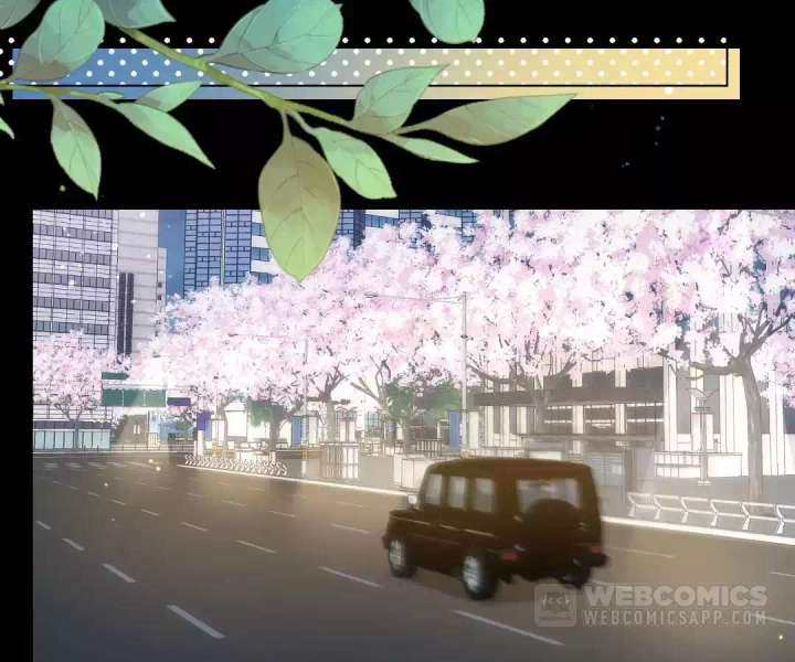 The Substitute Bride And The Overly affectionate Husband Chapter 65 572 091