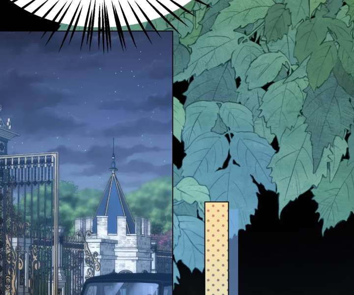 The Substitute Bride And The Overly affectionate Husband Chapter 65 593 112