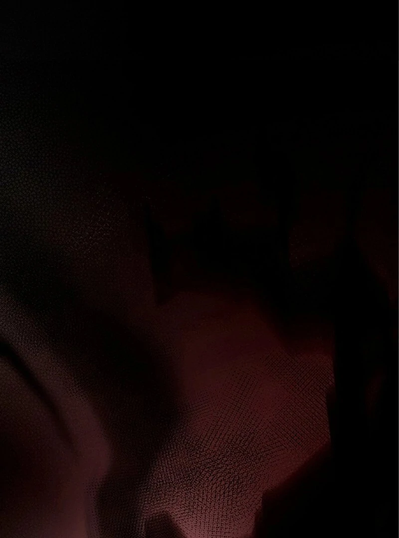 The Substitute Saintess is Doted on by the Enemy Crown Prince’s Kiss Chapter 20 434 103