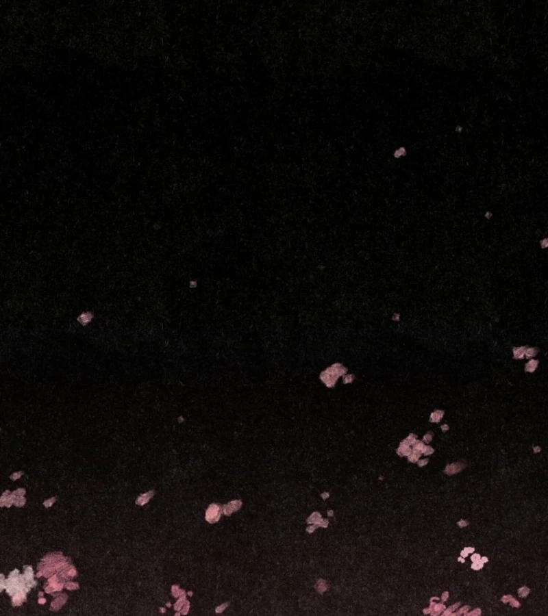 The Summer Swallowed by Darkness Chapter 18 516 ch 18 2