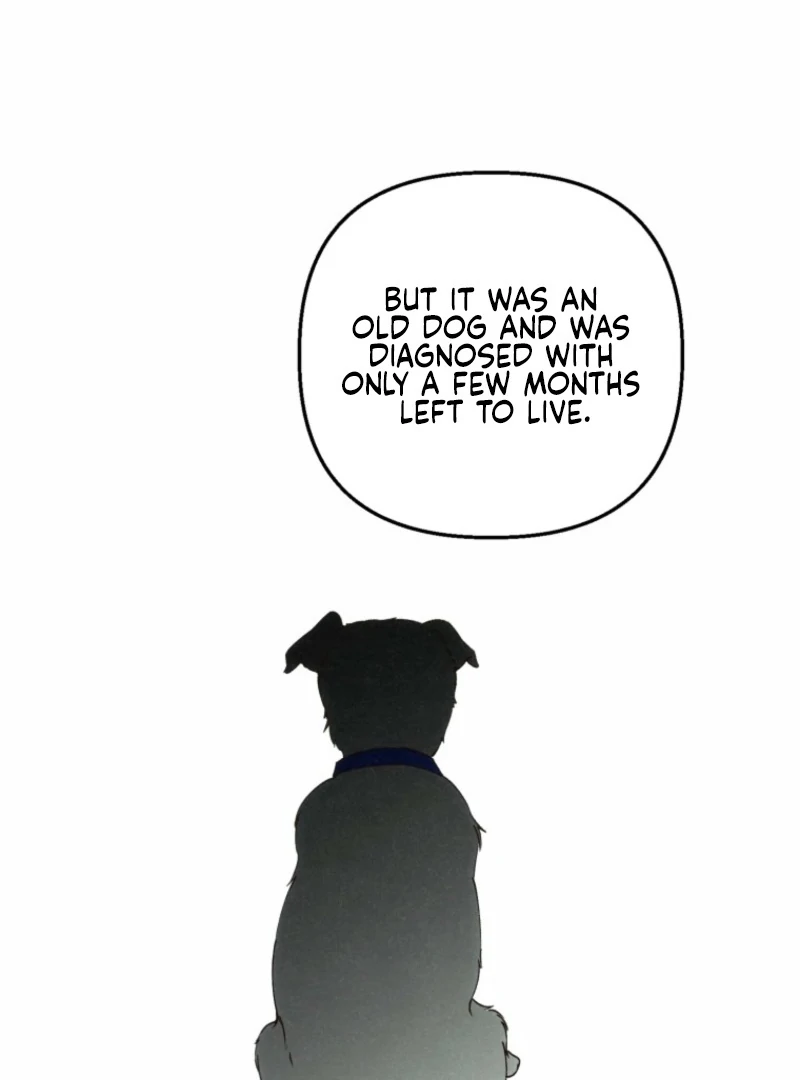 The Summer Swallowed by Darkness Chapter 22 446 010