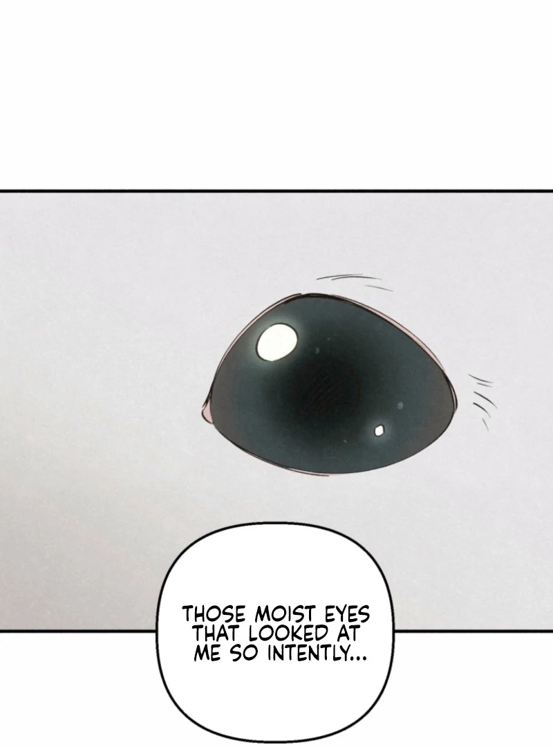 The Summer Swallowed by Darkness Chapter 22 489 053