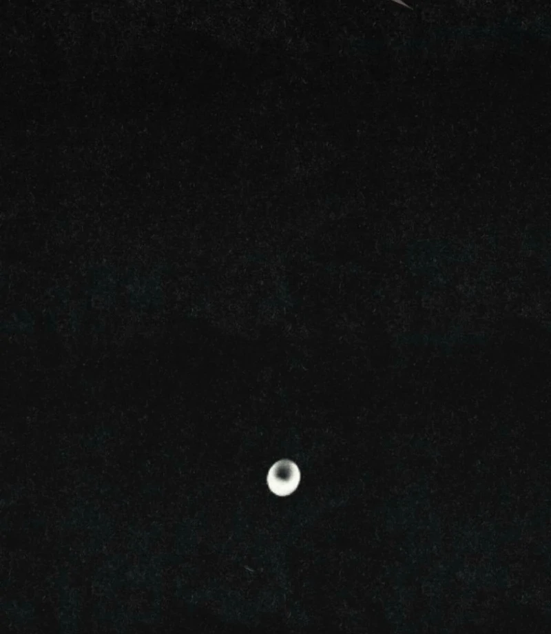 The Summer Swallowed by Darkness Chapter 31 474 050