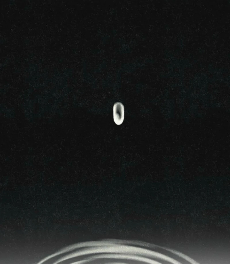 The Summer Swallowed by Darkness Chapter 31 475 051