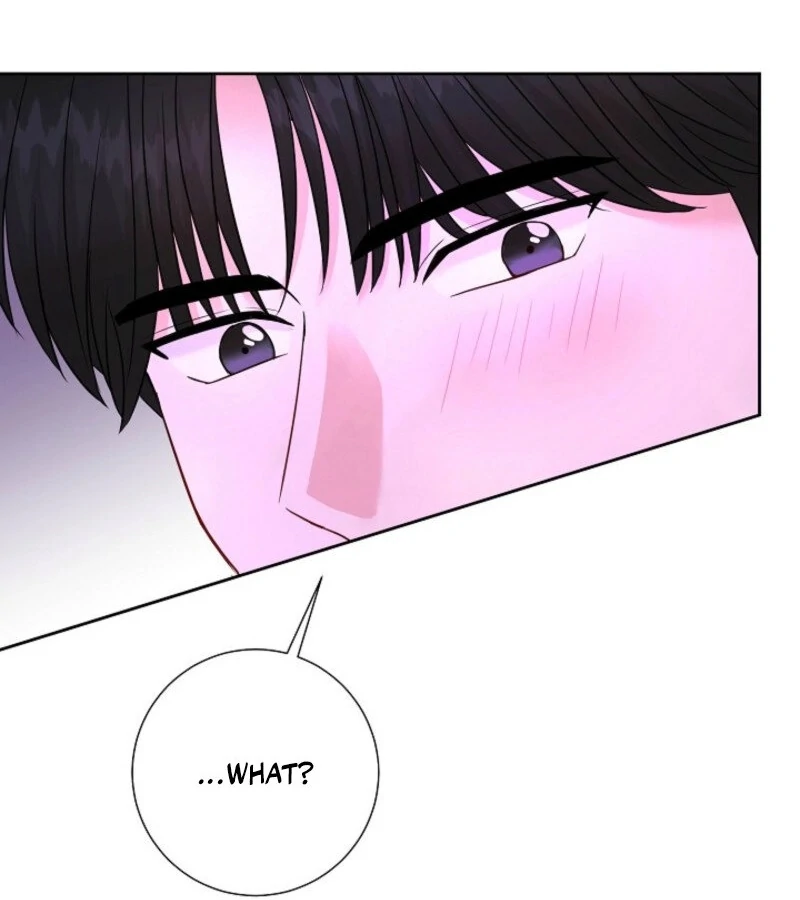 The Summer When You Came Chapter 18 441 059