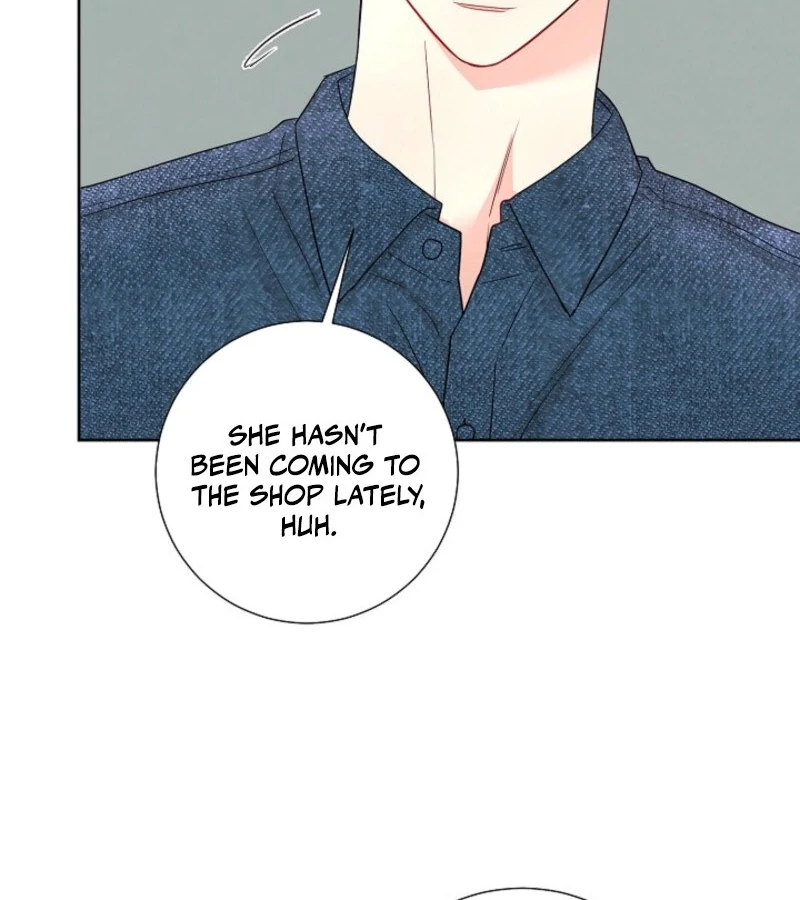 The Summer When You Came Chapter 19 476 049