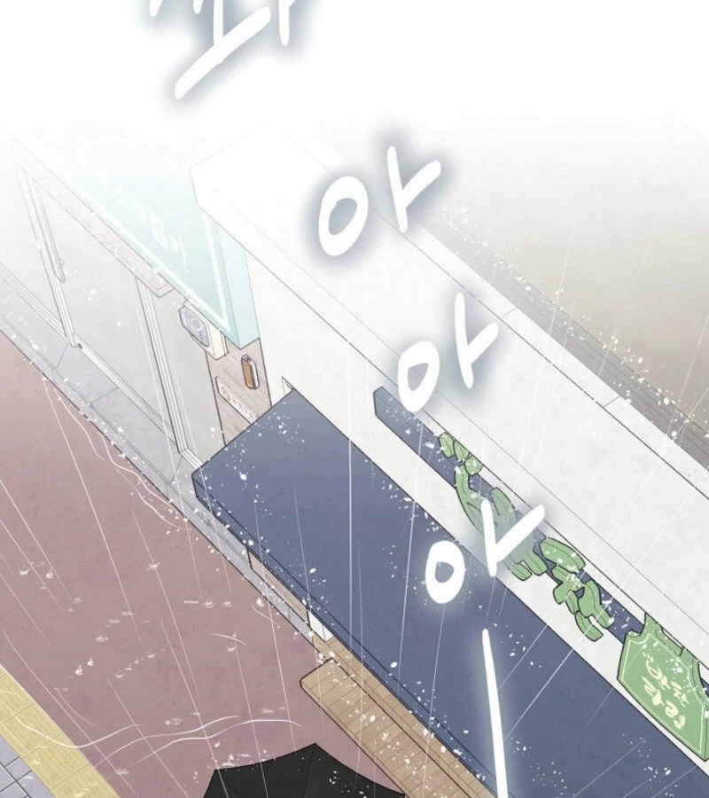 The Summer When You Came Chapter 19 510 083