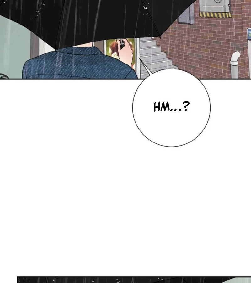 The Summer When You Came Chapter 19 525 098