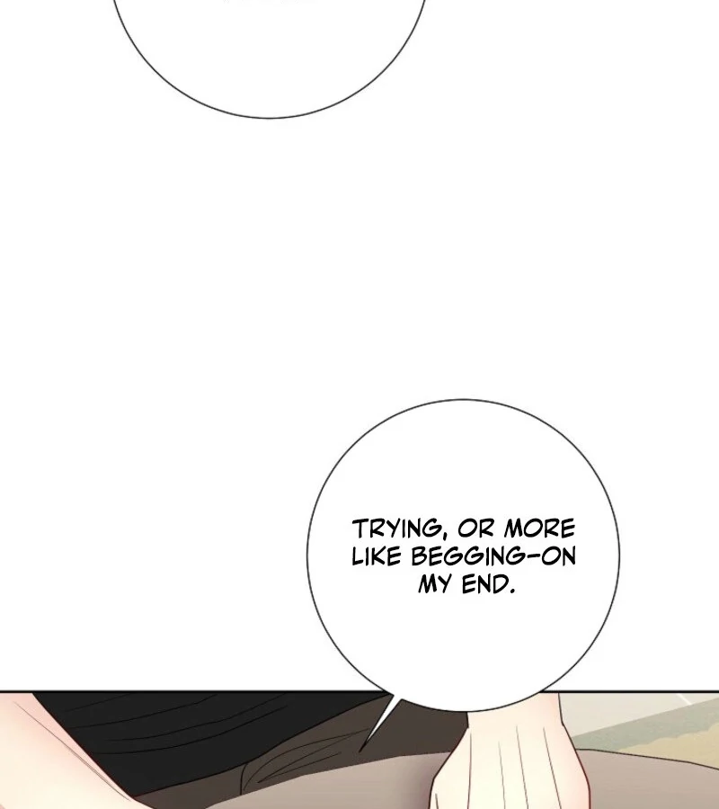 The Summer When You Came Chapter 20 564 134