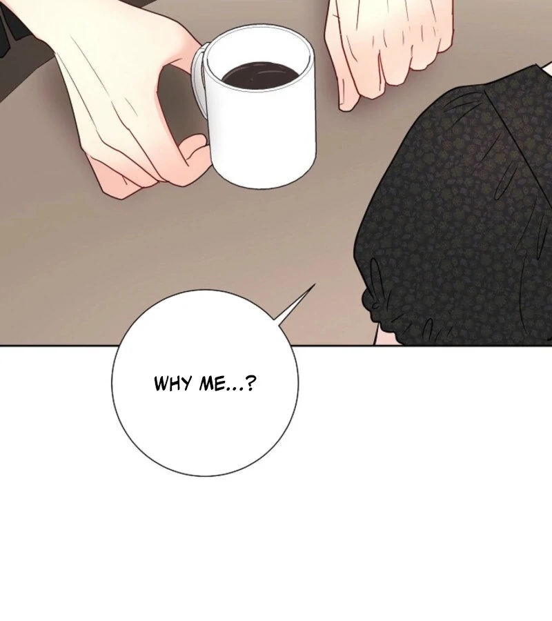 The Summer When You Came Chapter 20 565 135