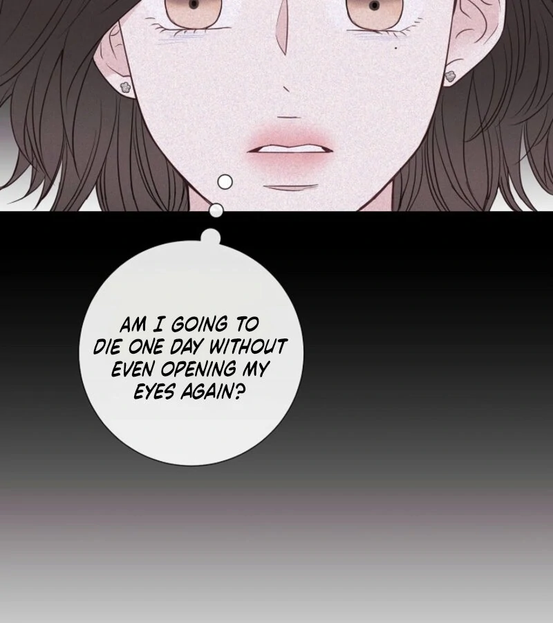 The Summer When You Came Chapter 21 528 092