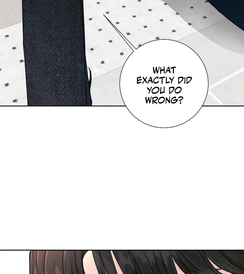 The Summer When You Came Chapter 21 569 133