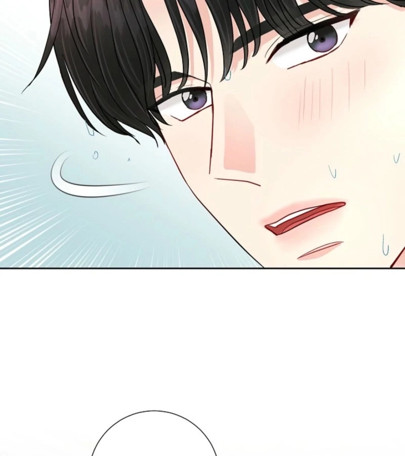 The Summer When You Came Chapter 21 570 134