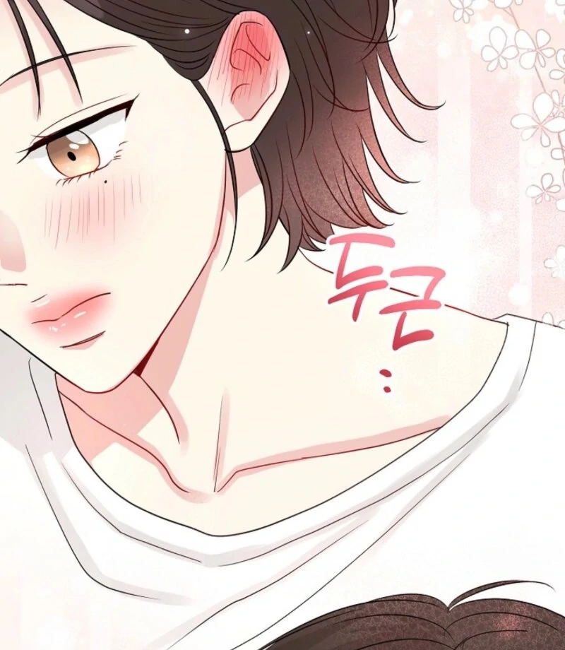 The Summer When You Came Chapter 26 339 56