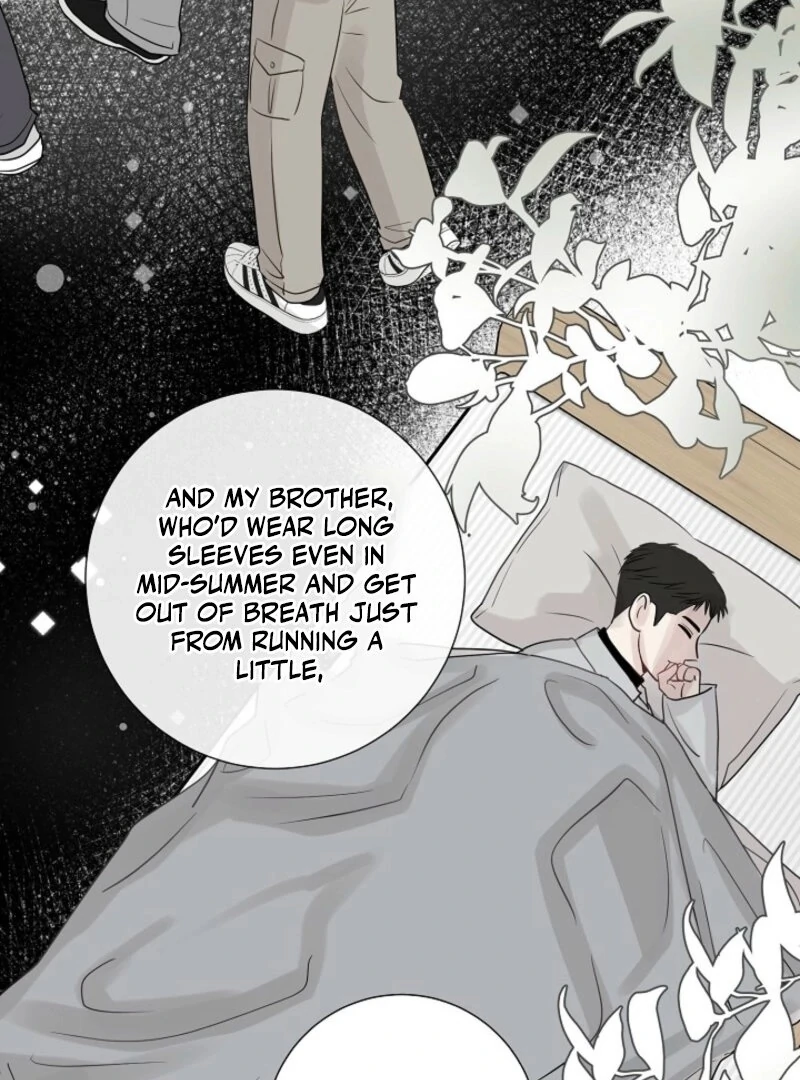 The Summer When You Came Chapter 26 359 76