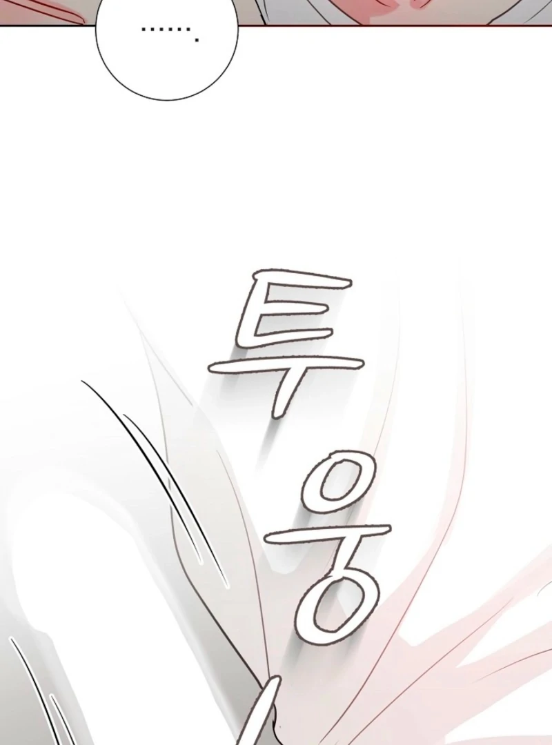 The Summer When You Came Chapter 28 298 15