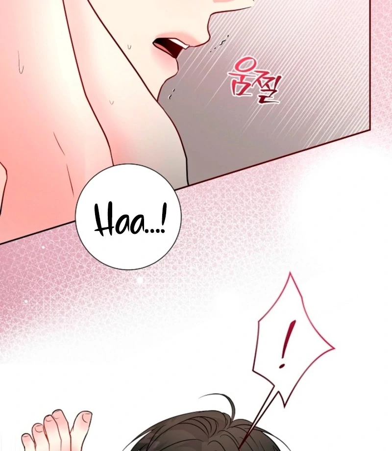 The Summer When You Came Chapter 28 334 51