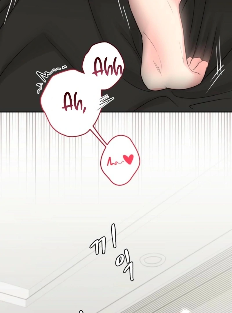 The Summer When You Came Chapter 28 349 66