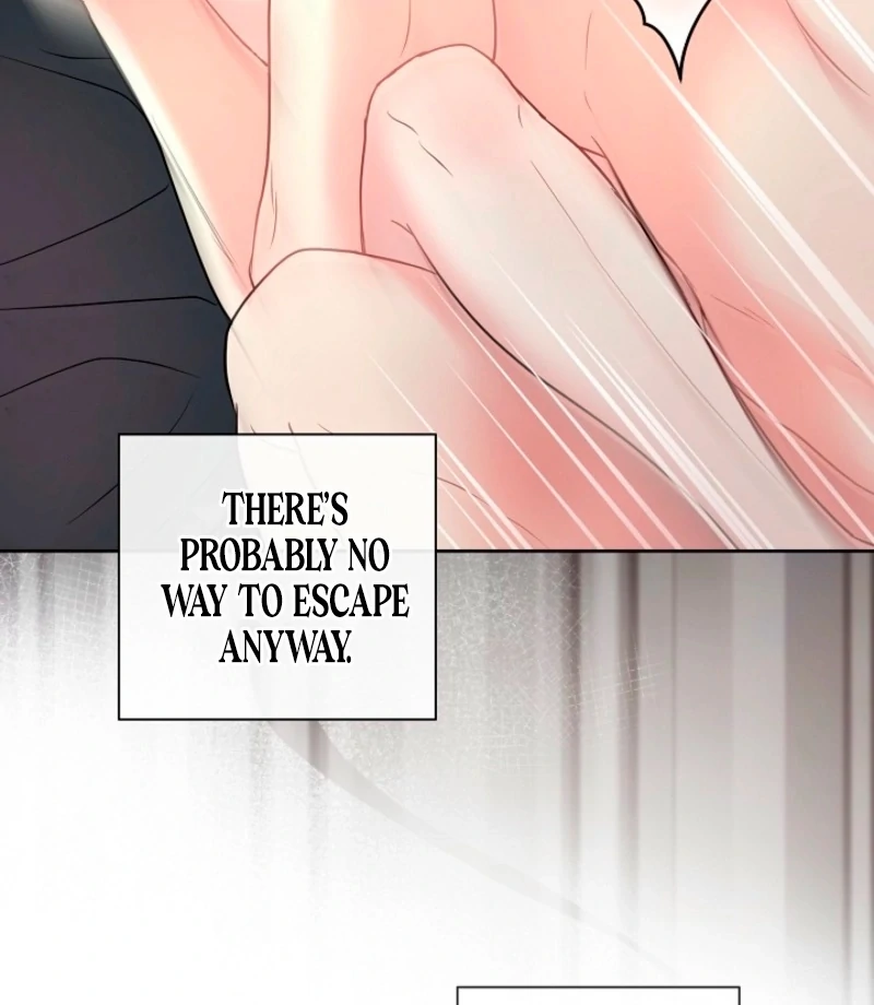 The Summer When You Came Chapter 31 326 55