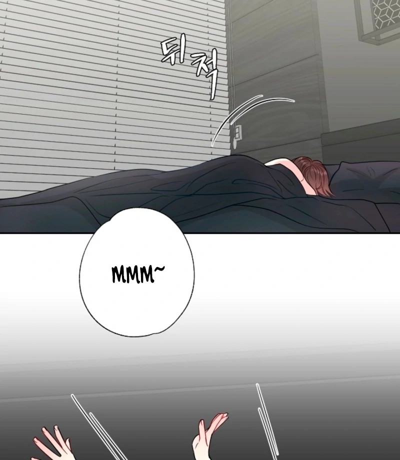 The Summer When You Came Chapter 31 331 60