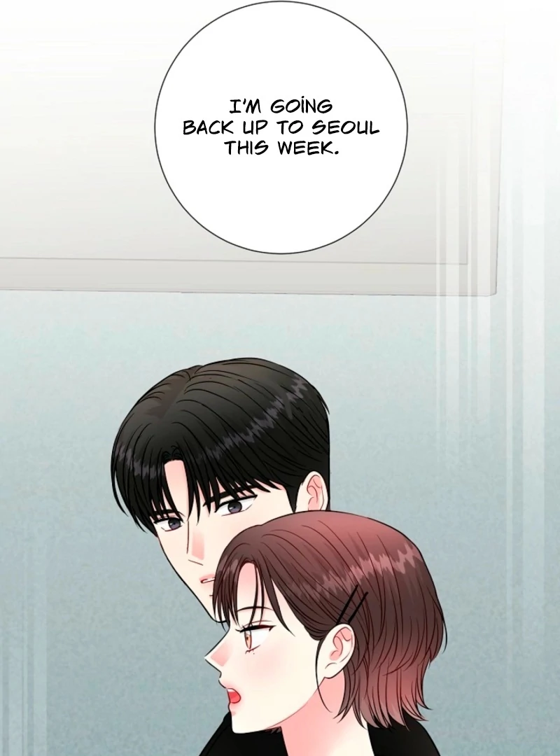 The Summer When You Came Chapter 32 348 53