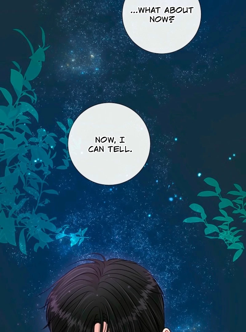 The Summer When You Came Chapter 32 374 79