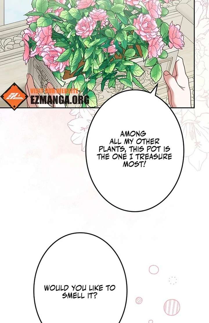 The Super-Strong Noble Lady Wants to Be Truly Weak Chapter 6 506 103