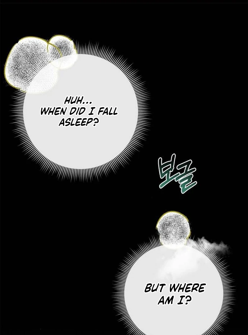 The Swindler Couple of Ardel Chapter 11 408 ch 11 2