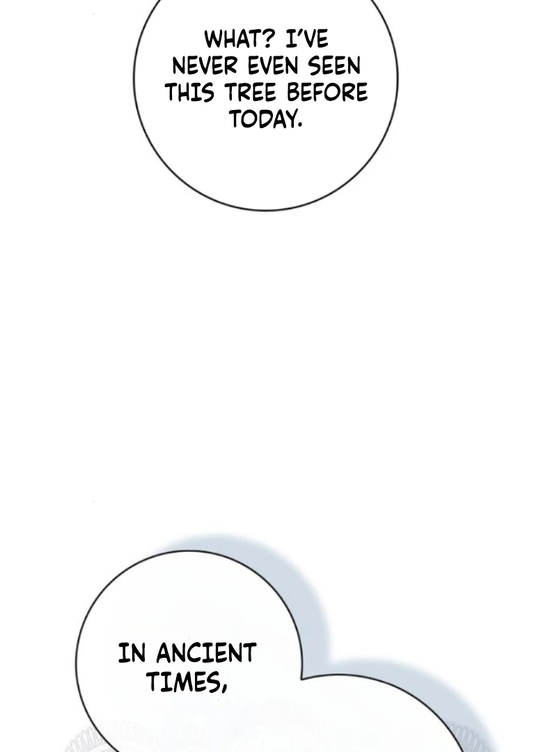 The Swindler Couple of Ardel Chapter 16 513 ch 16 62