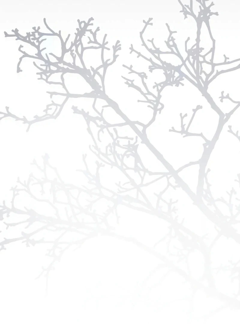 The Swindler Couple of Ardel Chapter 17 440 028