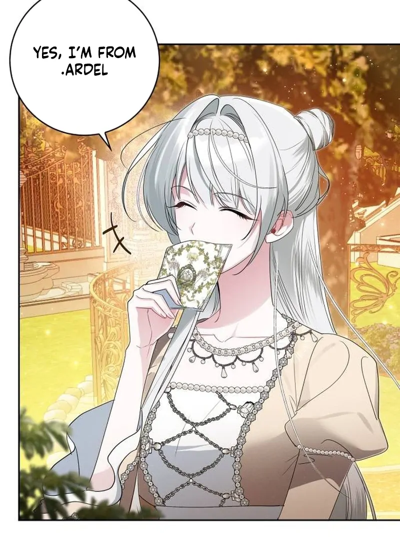 The Swindler Couple of Ardel Chapter 9 464 ch 9 43