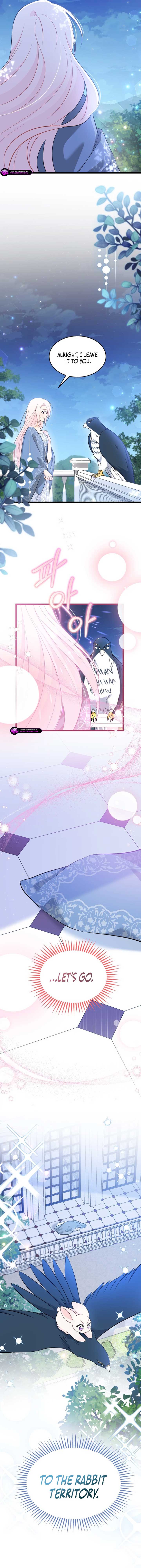 The Symbiotic Relationship Between the Rabbit and the Black Panther Chapter 185 51 1