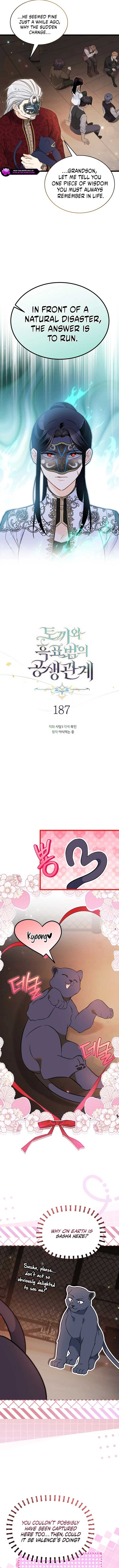 The Symbiotic Relationship Between the Rabbit and the Black Panther Chapter 187 47 3