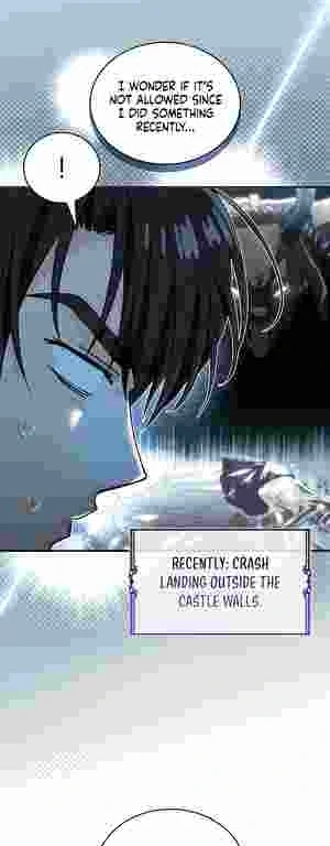 The Tower Master Who Became the Grand Duchess Chapter 11 195 35