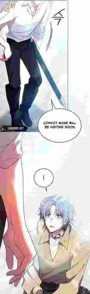 The Tower Master Who Became the Grand Duchess Chapter 13 236 40