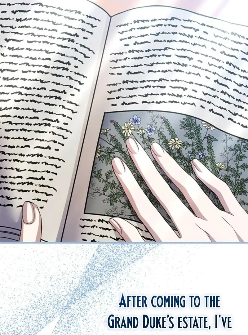 The Tower Master Who Became the Grand Duchess Chapter 37 492 068