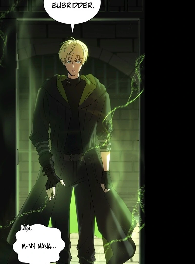 The Tower Master Who Became the Grand Duchess Chapter 43 344 031