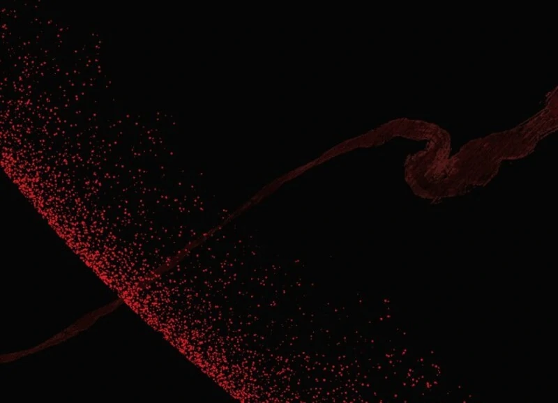 The Villain Discovered My Identity Chapter 172 341 ch 172 46