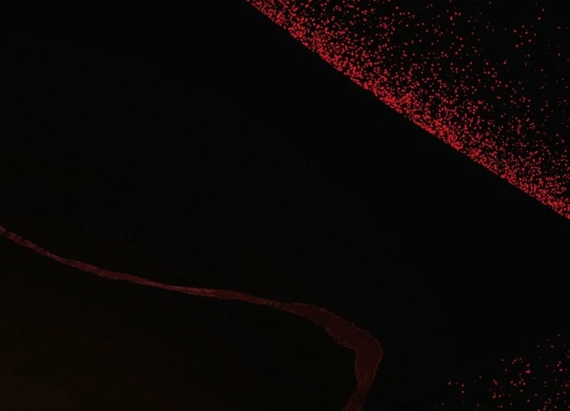 The Villain Discovered My Identity Chapter 172 342 ch 172 47