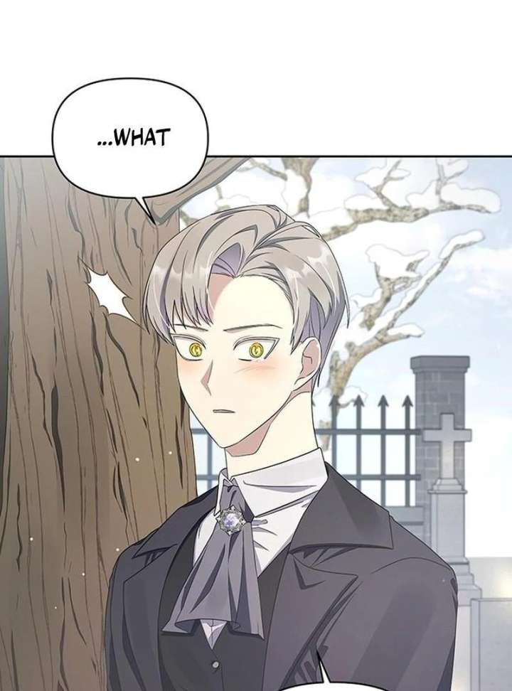 The Villainess is Bothered by the Male Leads Again Today Chapter 29 427 087