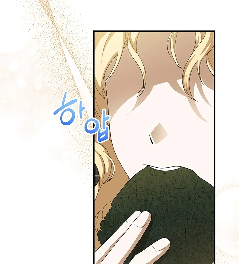 The Villainous Admiral Wants to Catch Me in His Net Chapter 13 510 008