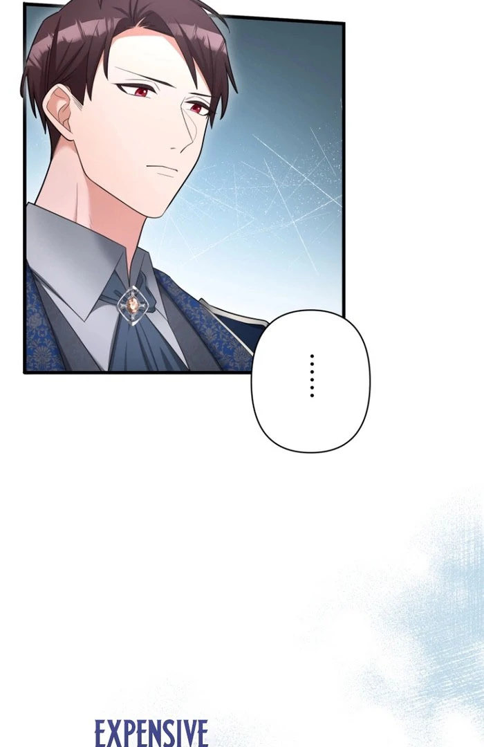 The Villainous Emperor and the Beloved Family Plan Chapter 14 233 31