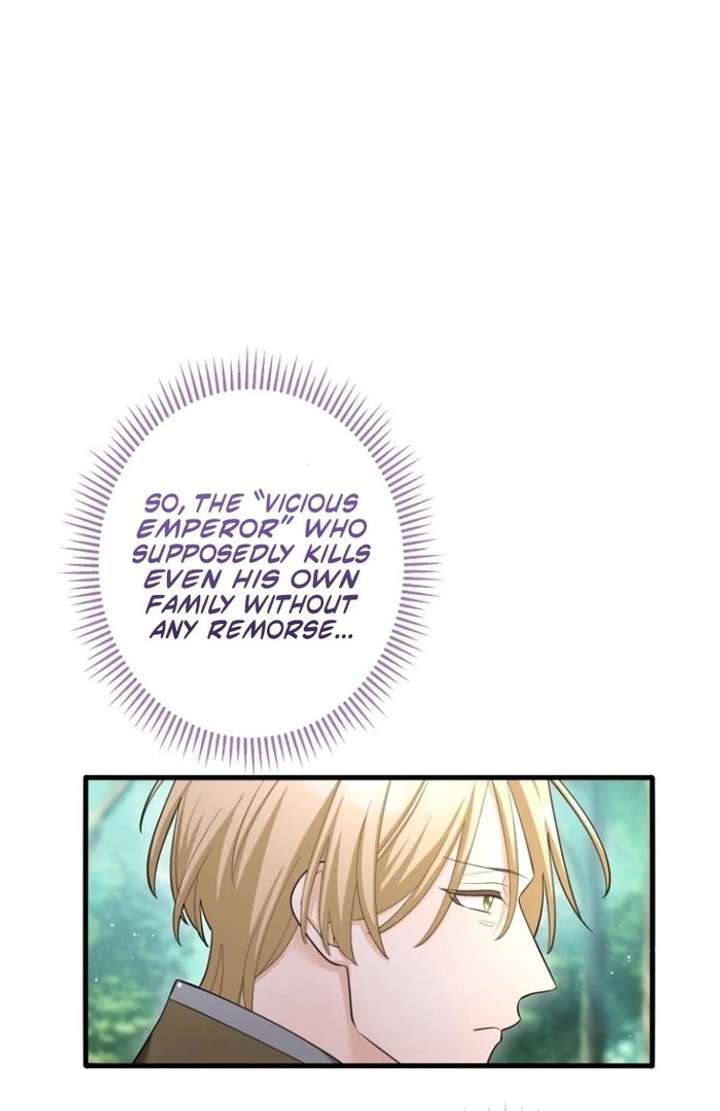 The Villainous Emperor and the Beloved Family Plan Chapter 30 314 34