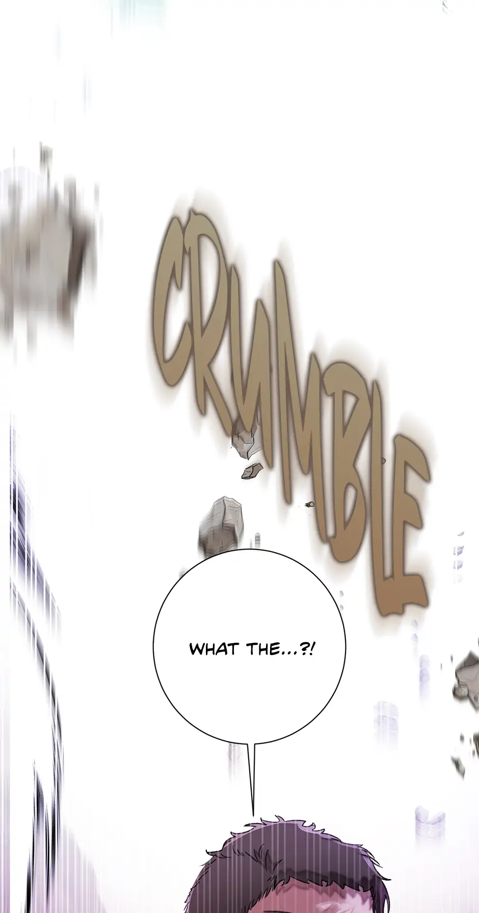 The Wallflower Who Was Proposed to by the Tyrant Chapter 37 357 83