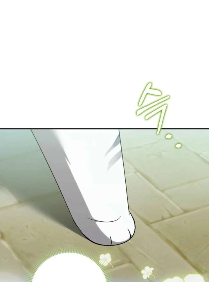 The White Tiger Princess is Not in Danger Chapter 17 442 036