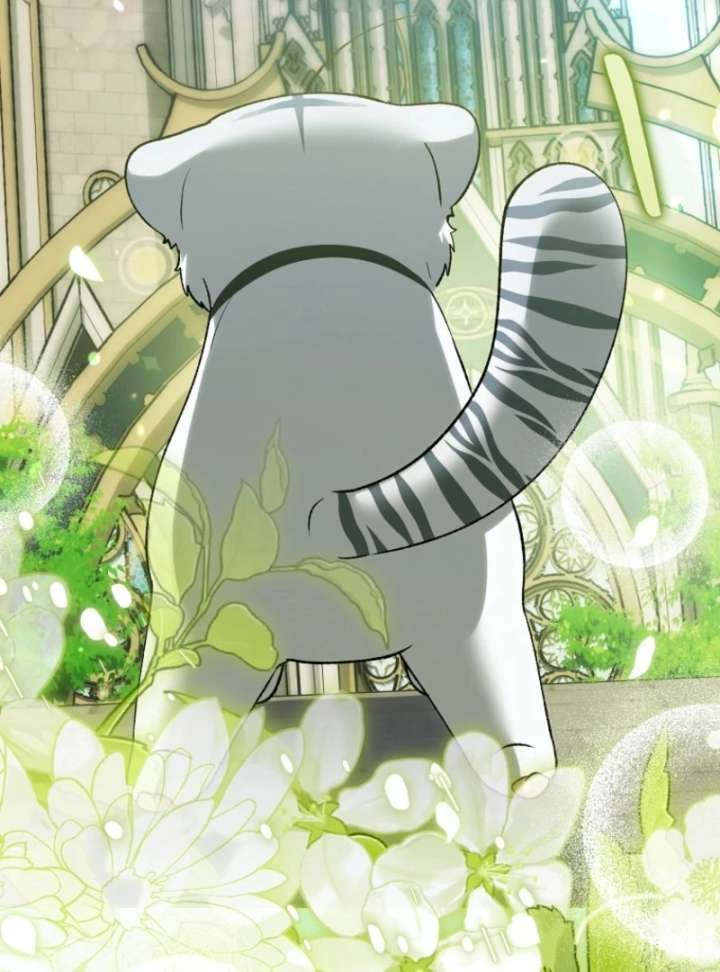 The White Tiger Princess is Not in Danger Chapter 17 447 041